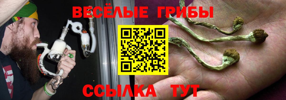 Псилоцибиновые грибы Psilocybe Лосино-Петровский
