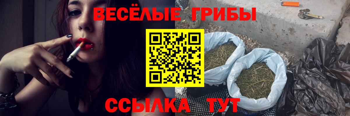 Лосино-Петровский  Псилоцибиновые грибы ЛСД  Вход с VPN 